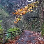 Rurales Balcon Real Campiello