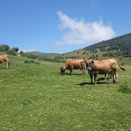 Apartment Rurales Balcon Real Campiello