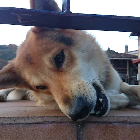 Rurales Balcon Real * Campiello