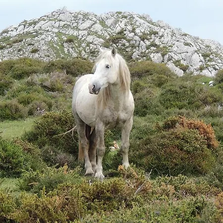 Rurales Balcon Real Apartment