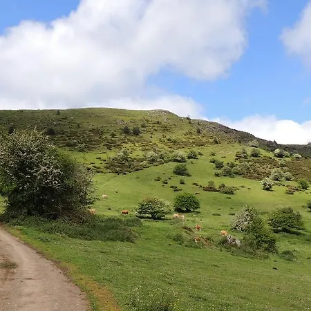 Apartment Rurales Balcon Real *