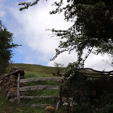 Apartment Rurales Balcon Real *