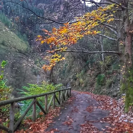 Rurales Balcon Real Senda Del Oso Campiello