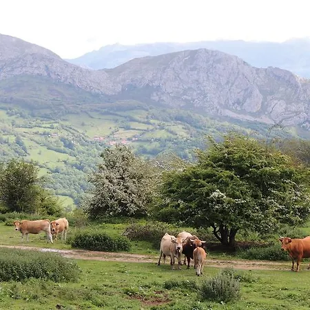 Rurales Balcon Real Apartment *