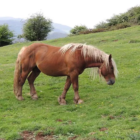 Rurales Balcon Real Senda Del Oso 아파트 캄피엘로