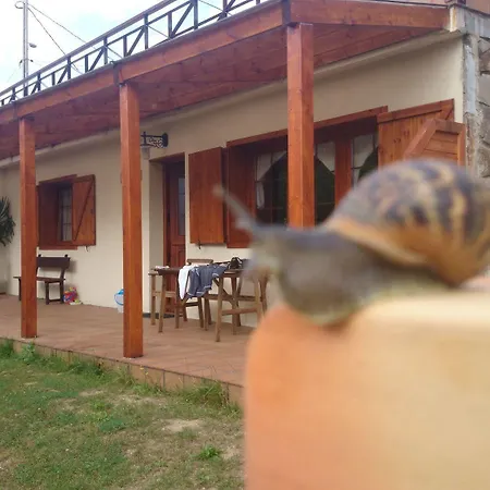 Rurales Balcon Real Apartment *